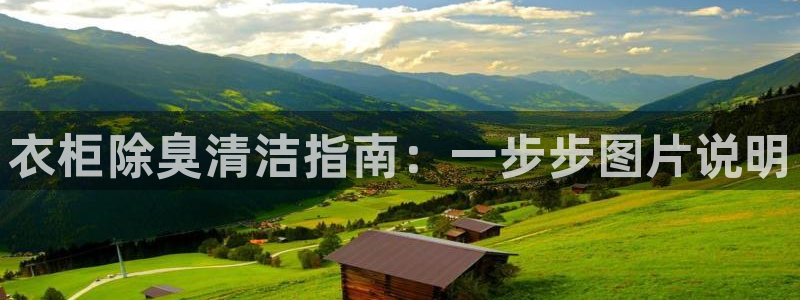 尊龙网站手机下载：衣柜除臭清洁指南：一步步图片说明