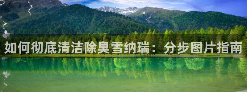 凯时网上官方网站：如何彻底清洁除臭雪纳瑞：分步图片指南