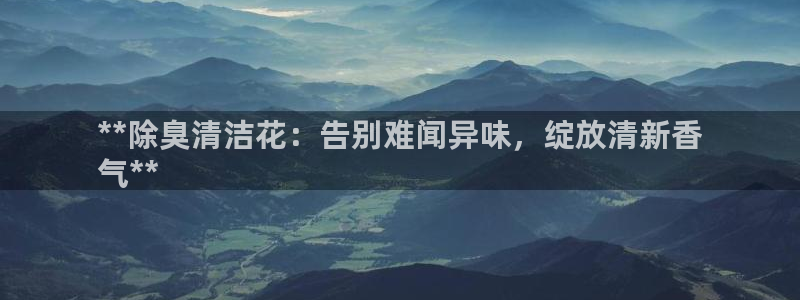 尊龙凯时人生就是搏技术实力