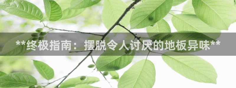 尊龙凯时怎么注销账号：**终极指南：摆脱令人讨厌的地板异