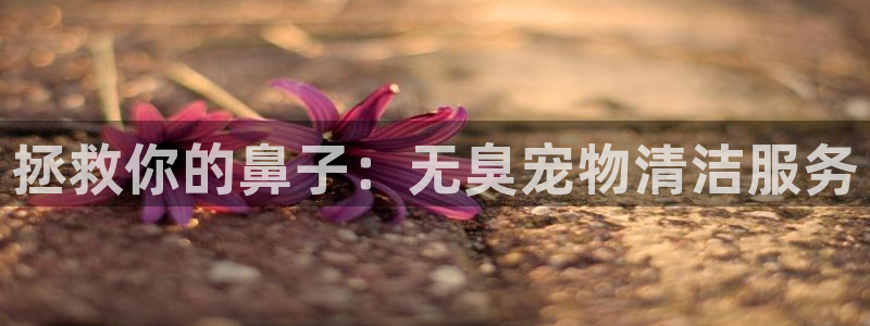 凯时ag旗舰厅