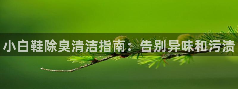 尊龙d88现金关注ag发财网