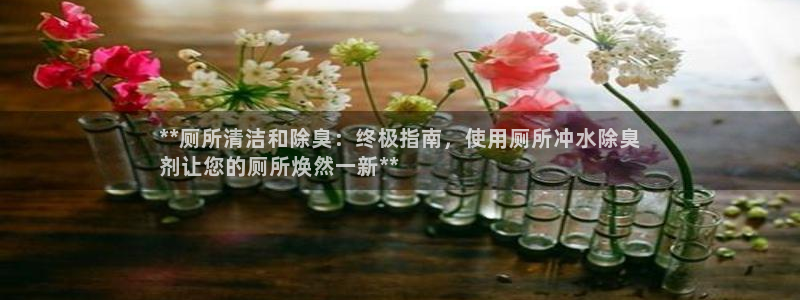 凯时平台怎么样：**厕所清洁和除臭：终极指南，使用厕所冲