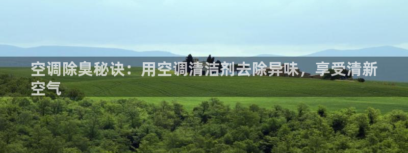 尊龙凯时返现：空调除臭秘诀：用空调清洁剂去除异味，享受清