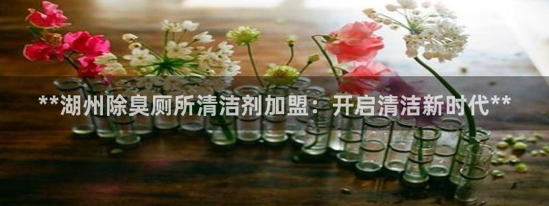 尊龙平台登录：**湖州除臭厕所清洁剂加盟：开启清洁新时代