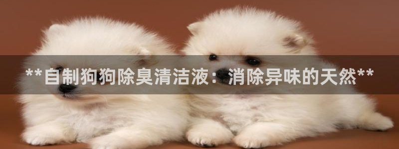 尊龙集团有限公司官网地址