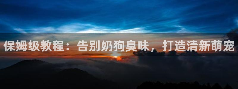 尊龙z6集团
