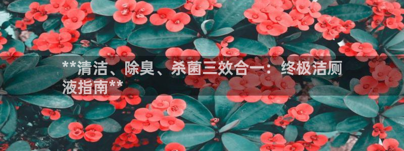 尊龙凯时注册：**清洁、除臭、杀菌三效合一：终极洁厕
液