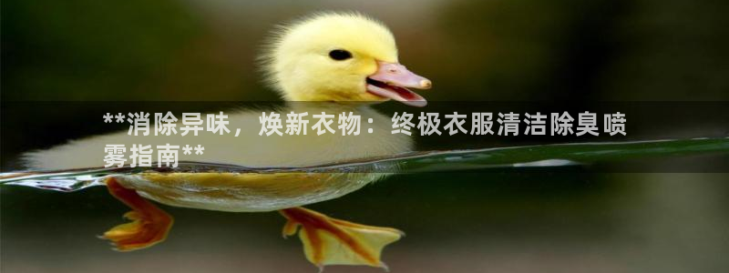 凯时k88最新