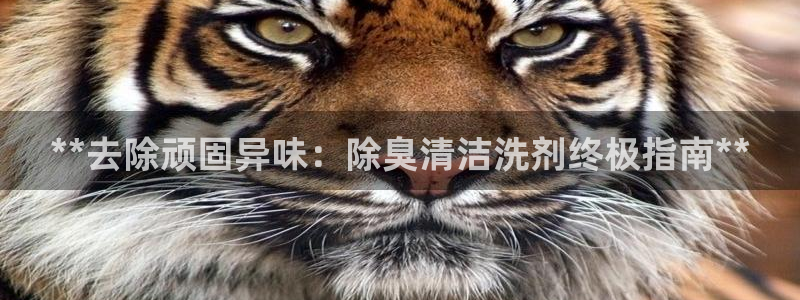 尊龙人生就是博登陆