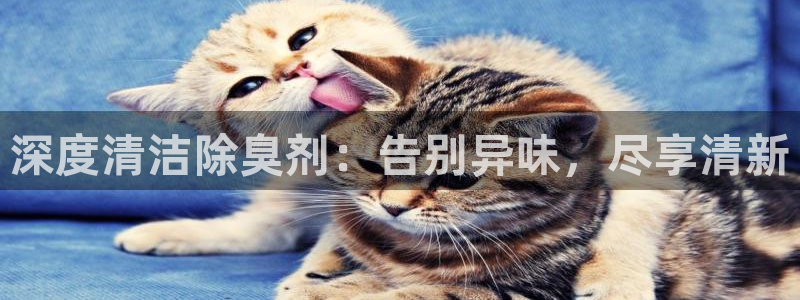 尊龙凯时家居是品牌吗