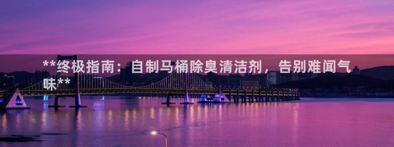尊龙凯时平台还是万搏好：**终极指南：自制马桶除臭清洁剂