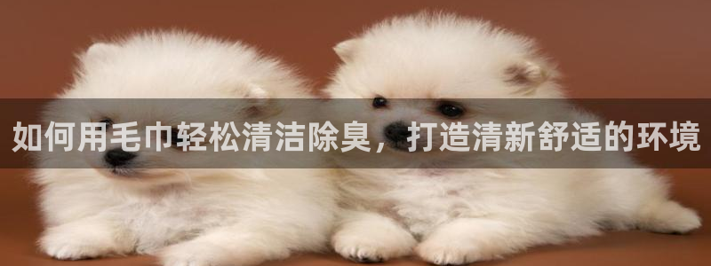 ZL尊龙凯时平台