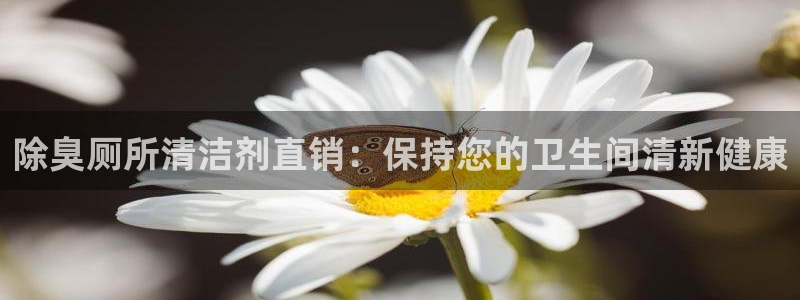 尊龙休闲e站怎么样