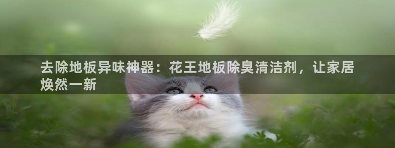 尊龙凯时提不了款