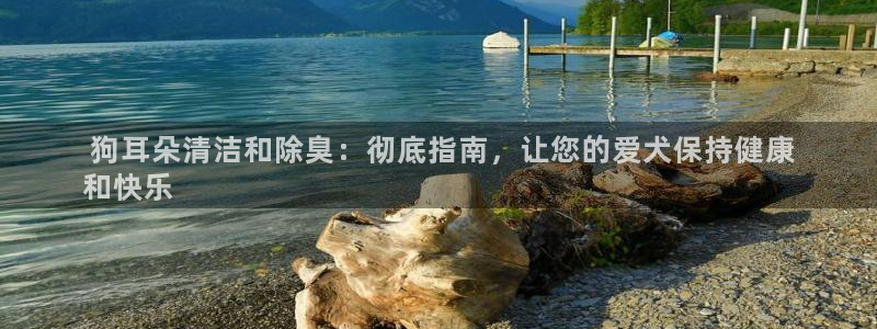 尊龙凯时官网网址： 狗耳朵清洁和除臭：彻底指南，让您的爱