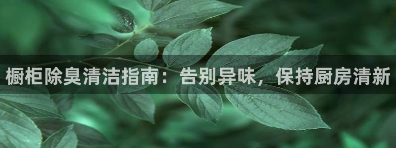 尊龙凯时网站是什么地方人开的