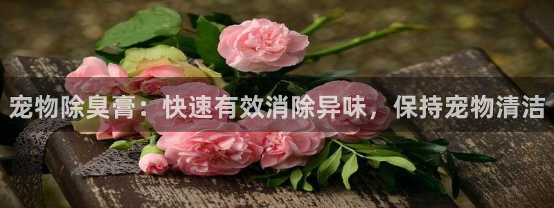 尊龙百度贴吧