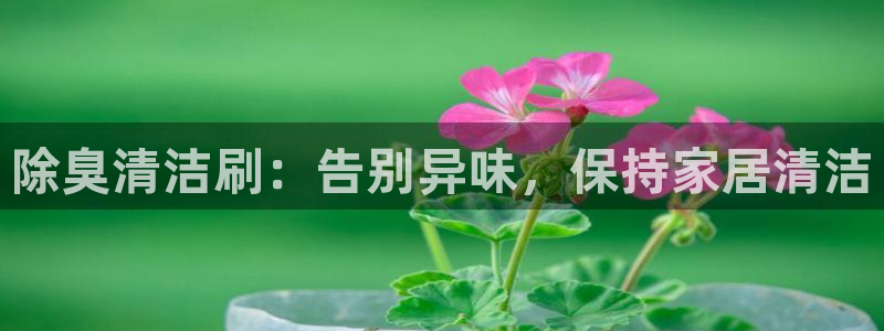 尊龙集团有限公司官网地址：除臭清洁刷：告别异味，保持家居