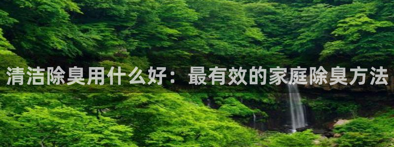 尊龙人生就是博手机版下载：清洁除臭用什么好：最有效的家庭
