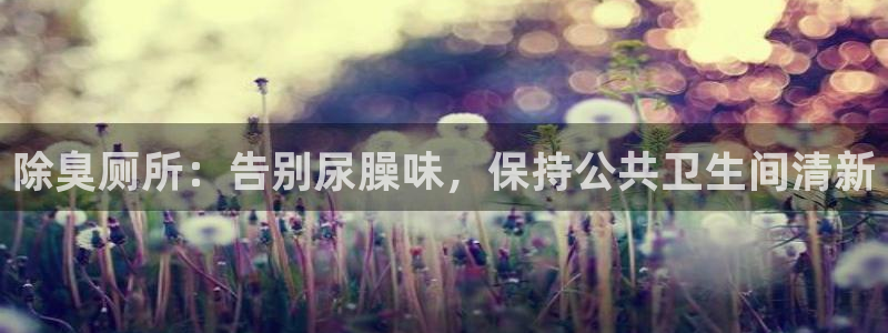 z6尊龙凯时ag旗舰厅：除臭厕所：告别尿臊味，保持公共卫