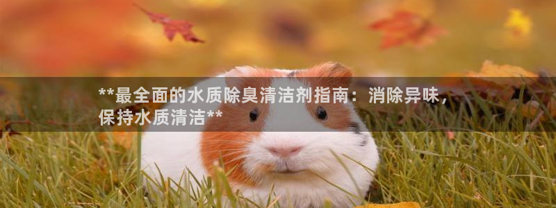 尊龙品牌怎么样