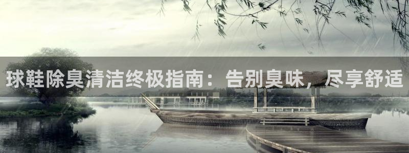尊龙凯时代理官网入口：球鞋除臭清洁终极指南：告别臭味，尽