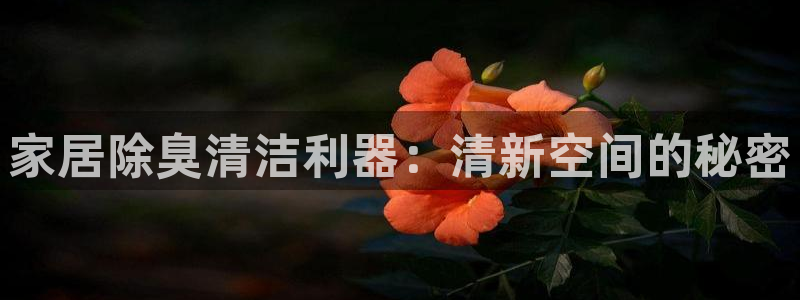 尊龙凯时官方网站下载