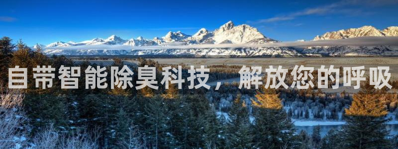 尊龙凯时代理佣金发不发
