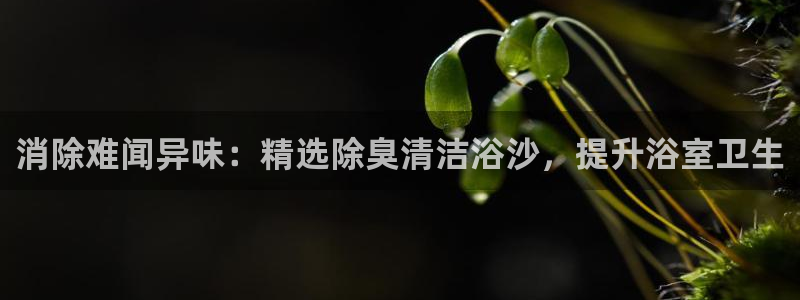 尊龙人生就是博网站：消除难闻异味：精选除臭清洁浴沙，提升