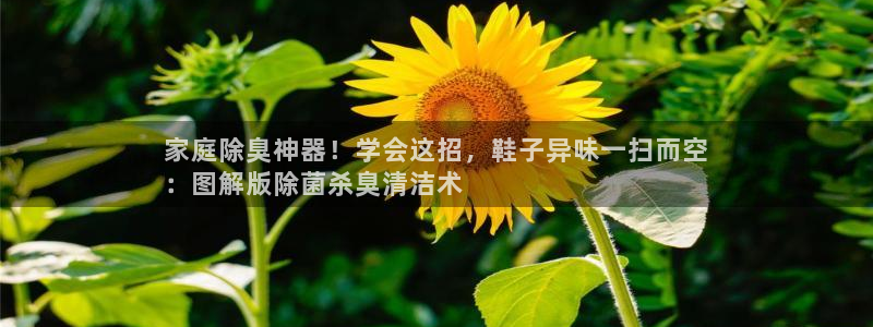 尊龙凯时app官方网站