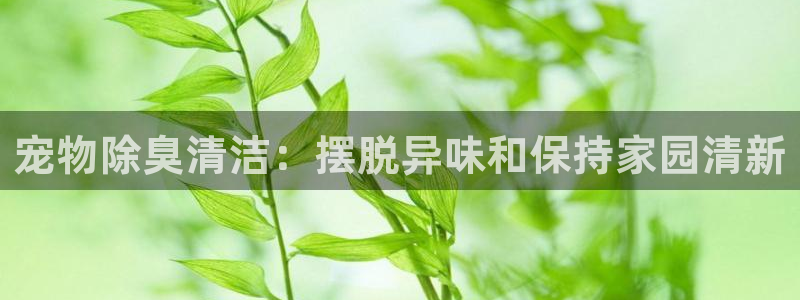 凯时国际app首页登录入口：宠物除臭清洁：摆脱异味和保持家园