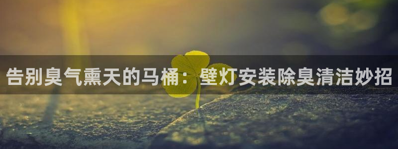 凯时k66登录：告别臭气熏天的马桶：壁灯安装除臭清洁妙招