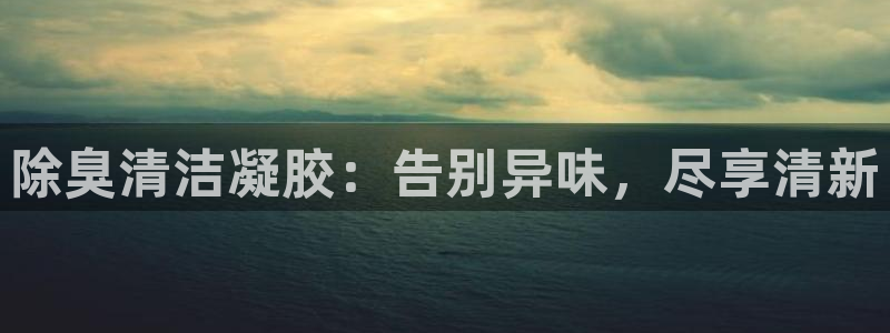 尊龙新版手机app下载：除臭清洁凝胶：告别异味，尽享清新