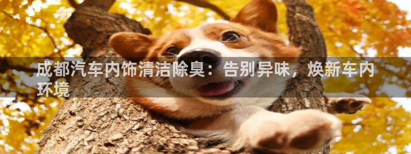 z6尊龙官网