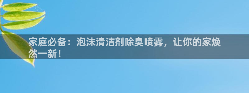 尊龙凯时赞助：家庭必备：泡沫清洁剂除臭喷雾，让你的家焕
