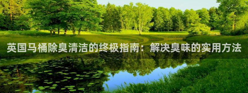 尊龙凯时能做退米么：英国马桶除臭清洁的终极指南：解决臭味