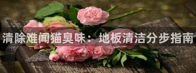 尊龙凯时品牌介绍