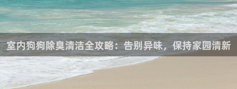 尊龙信息科技有限公司：室内狗狗除臭清洁全攻略：告别异味，