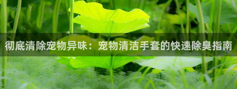 尊龙网页