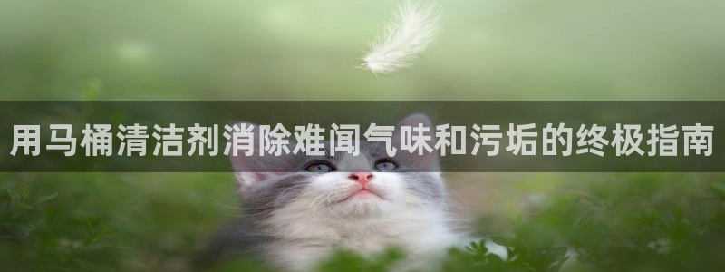 尊龙官网网站