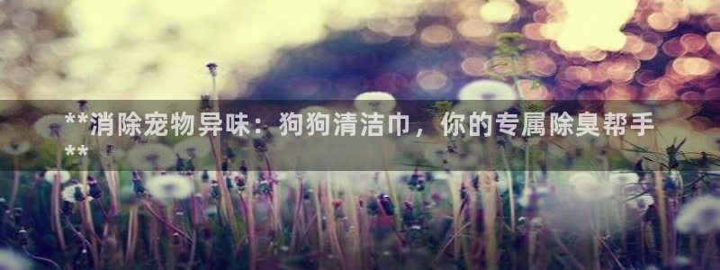 尊龙凯时赢不了