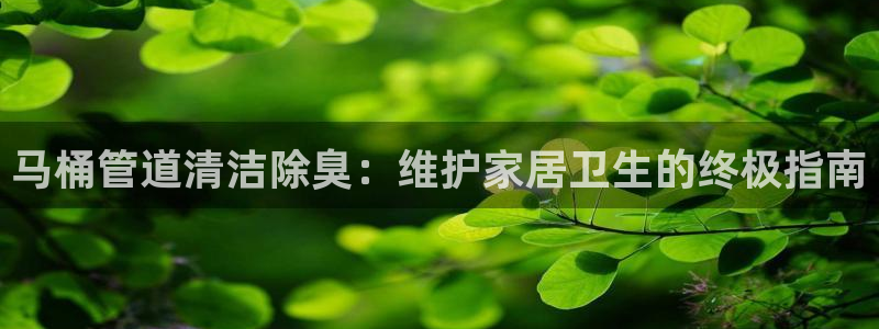 尊龙官网免费下载安装