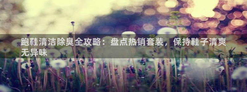 尊龙凯时能做退米么：跑鞋清洁除臭全攻略：盘点热销套装，保