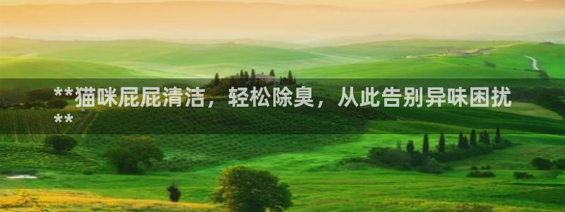 尊龙app怎么样