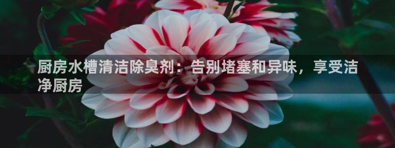 尊龙凯时城游戏官网：厨房水槽清洁除臭剂：告别堵塞和异味，