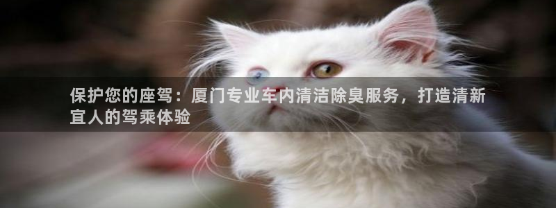尊龙凯时平台入口：保护您的座驾：厦门专业车内清洁除臭服务
