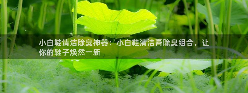 z6尊龙凯时官方