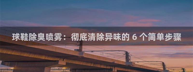 尊龙凯时app产品介绍：球鞋除臭喷雾：彻底清除异味的 6