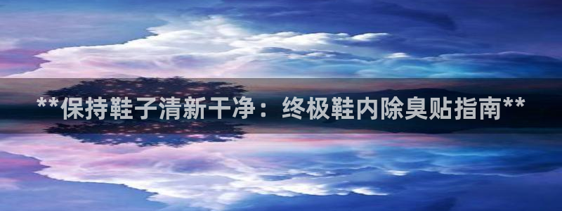 尊龙d88官网确来就送38：**保持鞋子清新干净：终极鞋